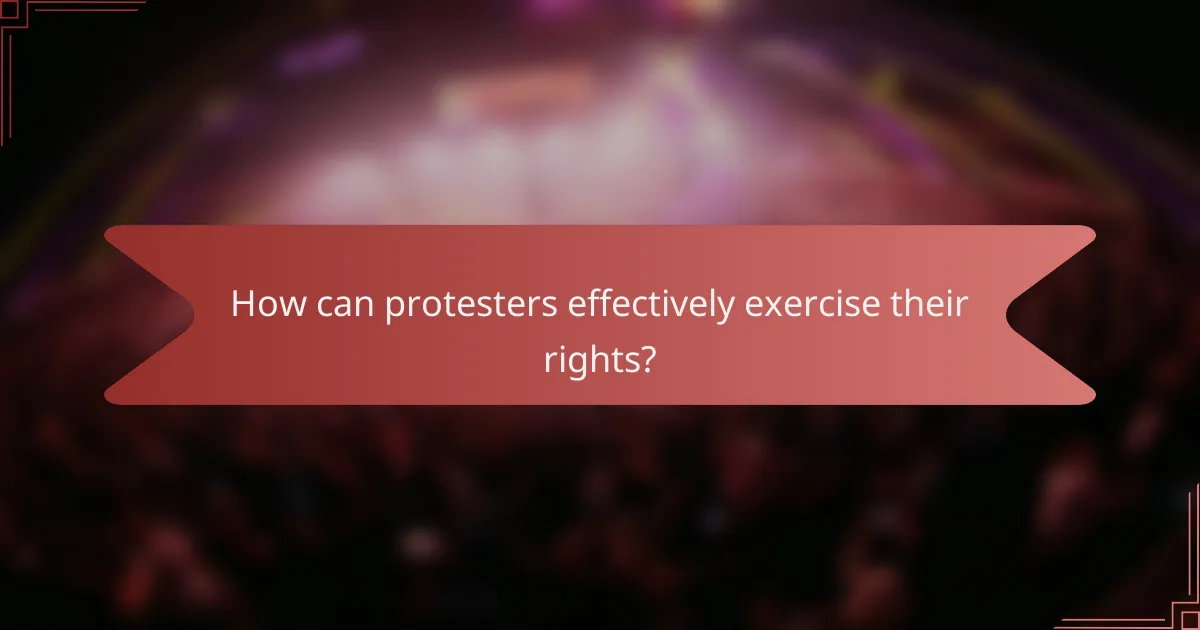 How can protesters effectively exercise their rights?