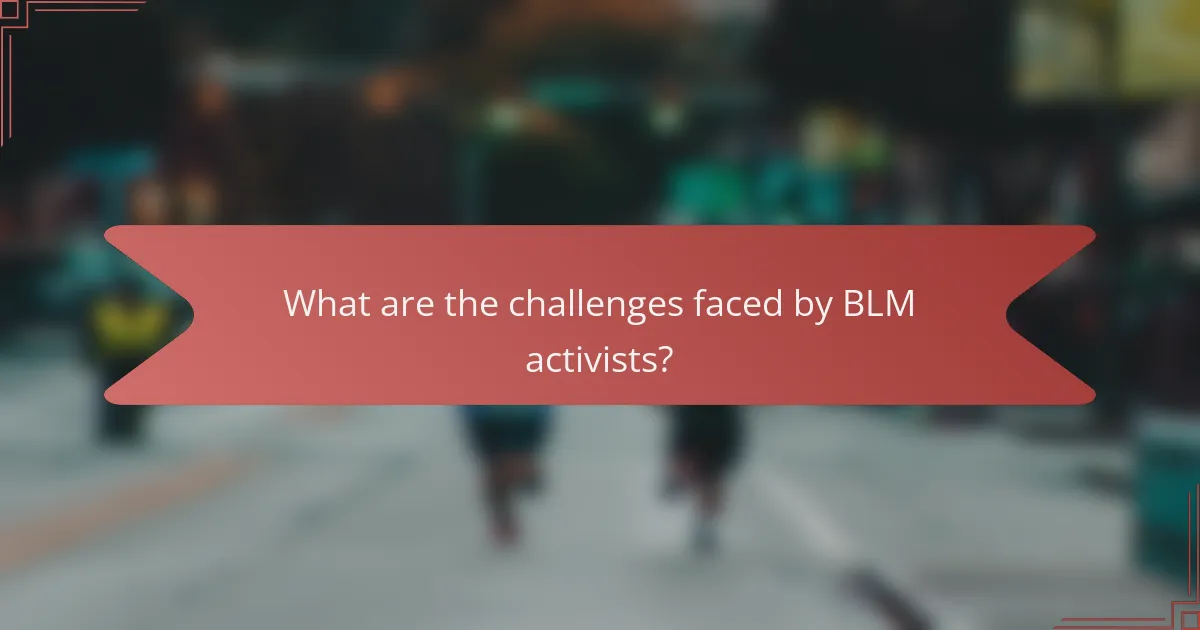 What are the challenges faced by BLM activists?