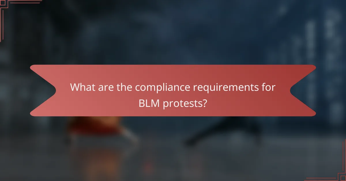 What are the compliance requirements for BLM protests?