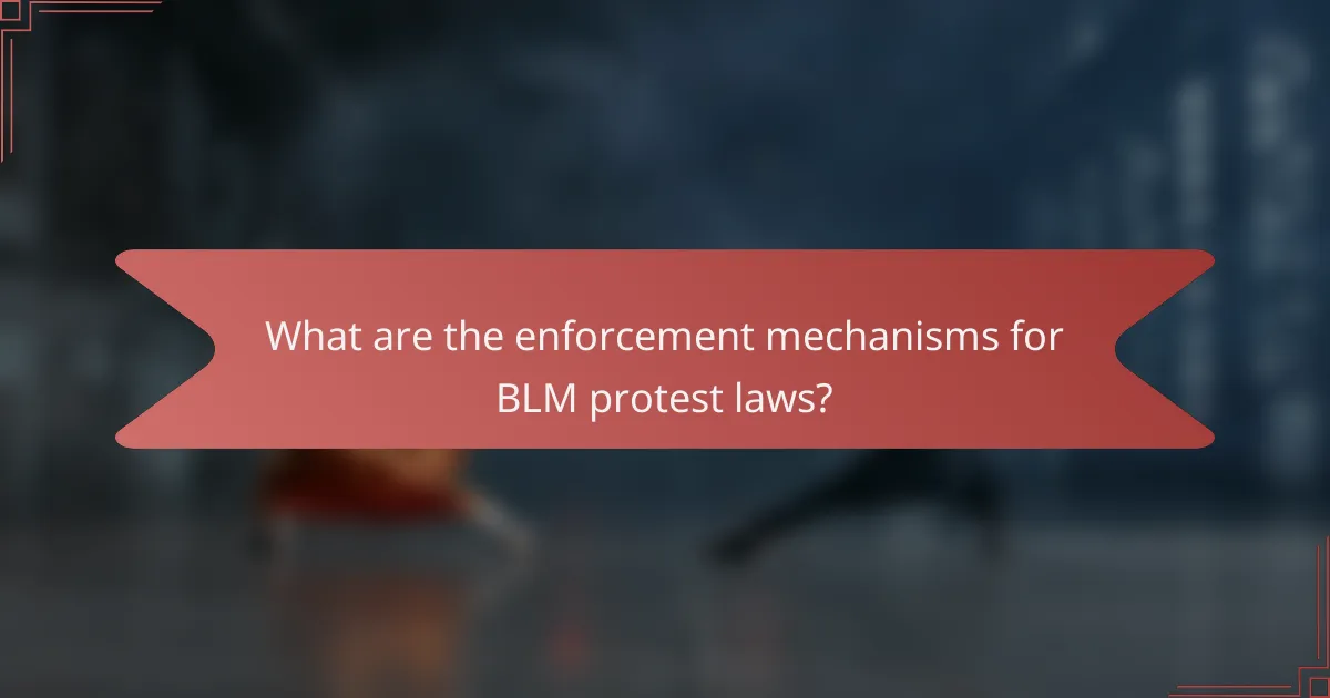 What are the enforcement mechanisms for BLM protest laws?