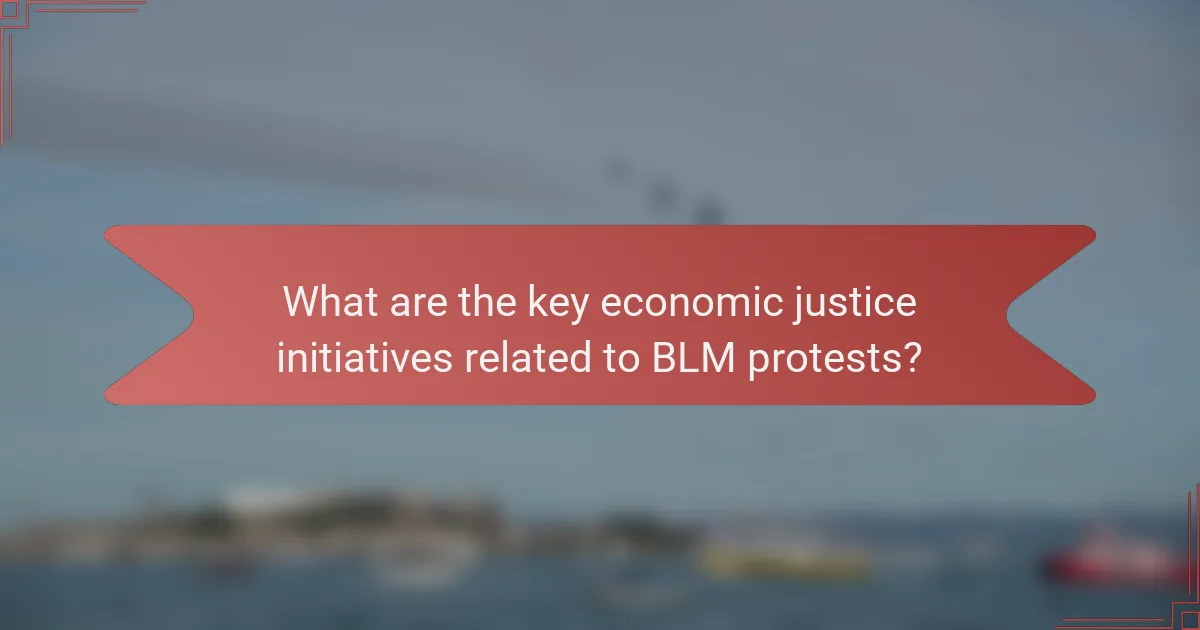 What are the key economic justice initiatives related to BLM protests?