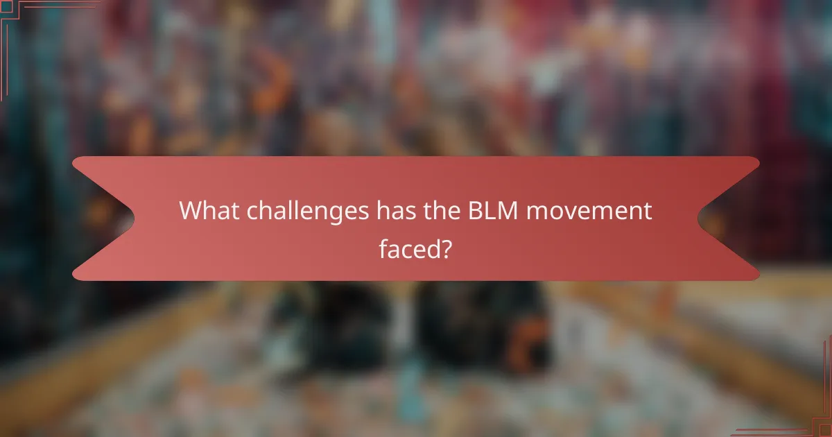 What challenges has the BLM movement faced?