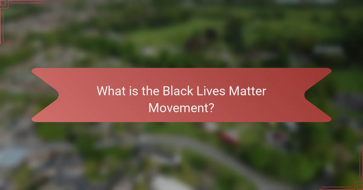 What is the Black Lives Matter Movement?