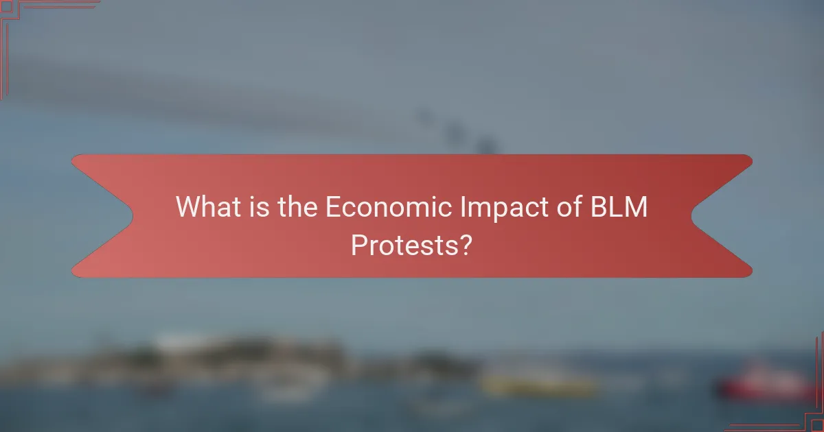 What is the Economic Impact of BLM Protests?